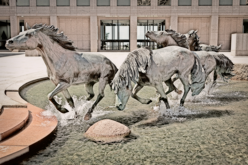 Mustangs-of-Las-Colinas